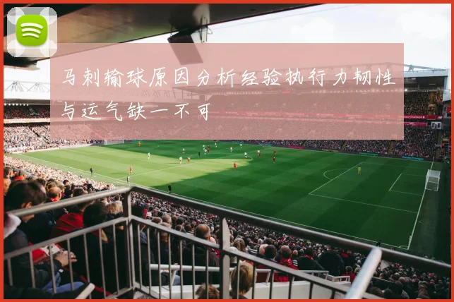 马刺输球原因分析经验执行力韧性与运气缺一不可